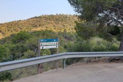 20210707_201911-scaled