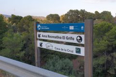 20210707_201932-scaled