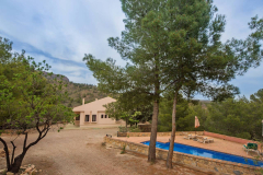 d467ad4c-3865-498a-94b7-7416a8438569